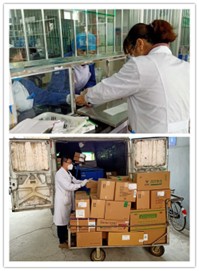 万众一心筑牢防线 众志成城抗击疫情 —新疆药学会抗击疫情先进典型事迹简报(第2期) 万众一心筑牢防线 众志成城抗击疫情 —新疆药学会抗击疫情先进典型事迹简报(第2期)