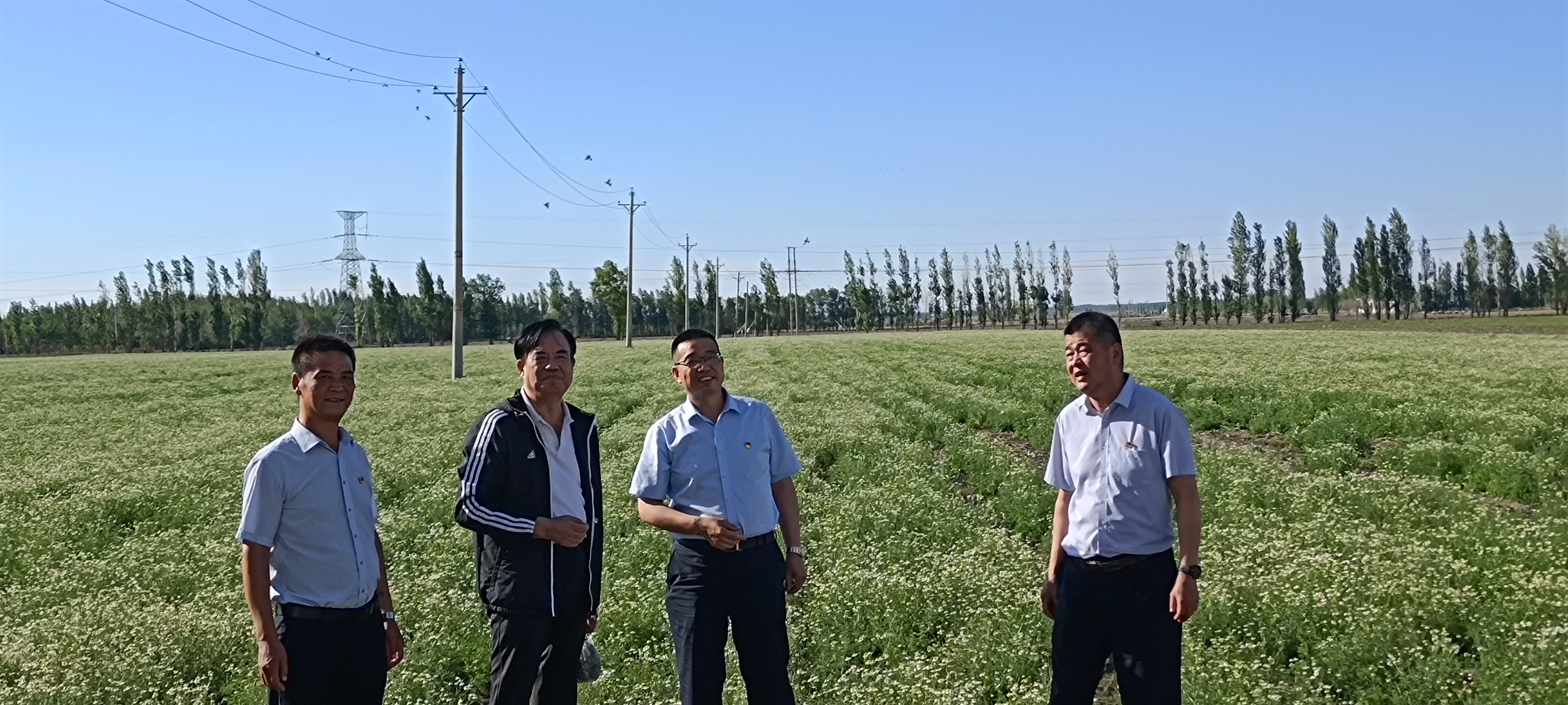 [学党史 悟思想]自治区科技社团党委、新疆药学会党支部、新疆银朵兰药业党总支联合开展“学党史、悟初心、担使命”主题党日活动