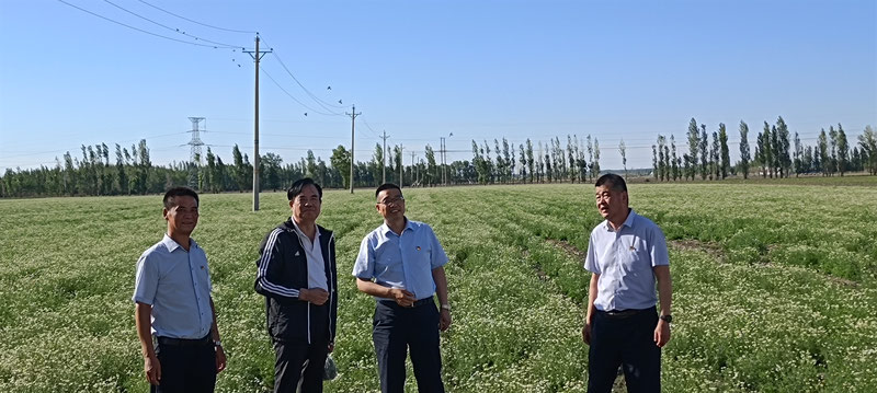 [学党史 悟思想]自治区科技社团党委、新疆药学会党支部、新疆银朵兰药业党总支联合开展“学党史、悟初心、担使命”主题党日活动